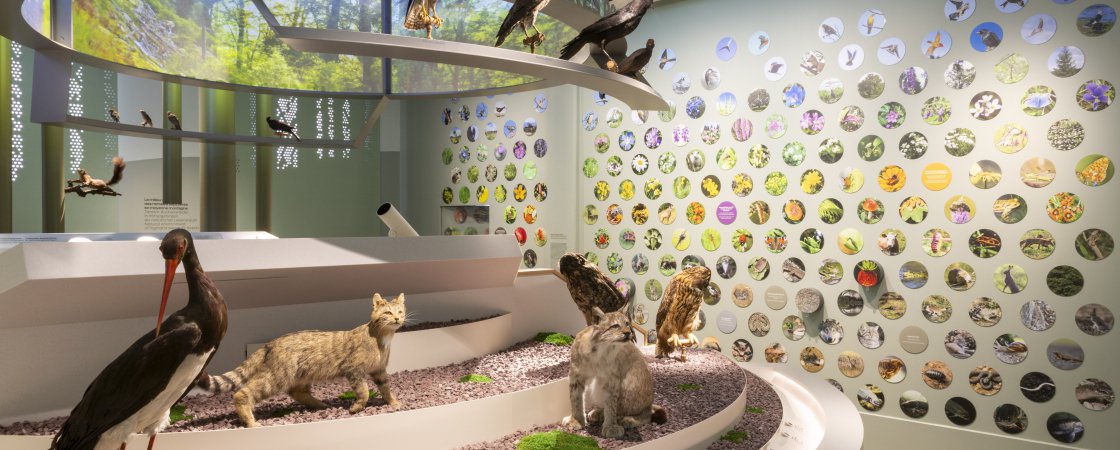 Le Pavillon de la Biodiversité est ouvert