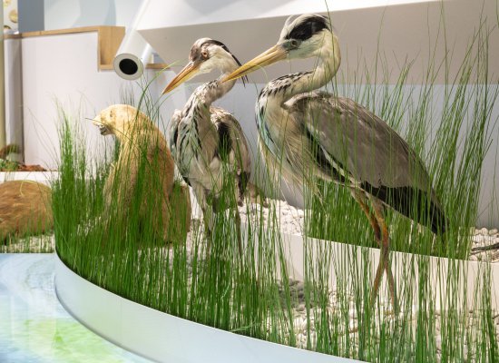 VISITE FAMILLE LA GRANDE VADROUILLE AU PAVILLON