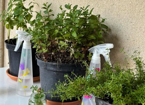 ATELIER ADO-ADULTES PRENEZ EN DE LA GRAINE