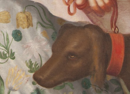 JEP : VISITE FLASH SALLE RENAISSANCE