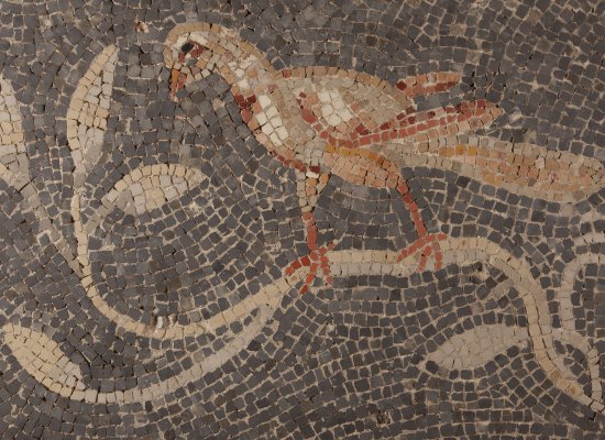 JEP : VISITE VESTIGES DES MONDES